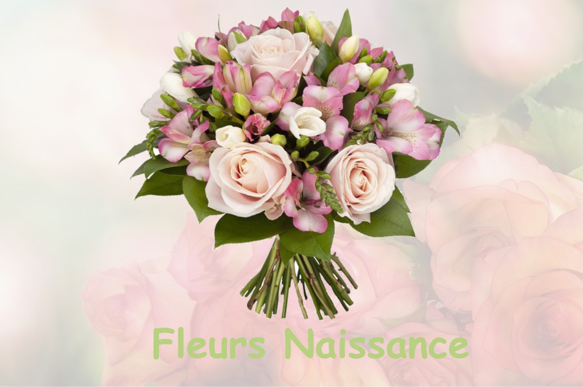 fleurs naissance CARSAC-DE-GURSON